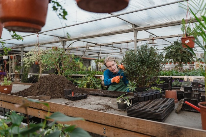 10 Benefits of Owning a Greenhouse