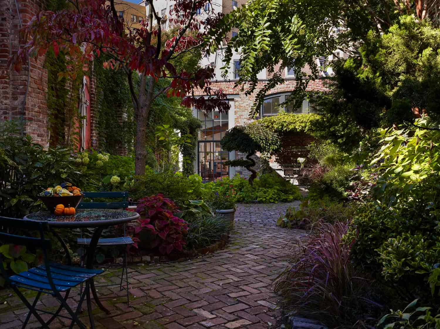 Beautiful backyard courtyard